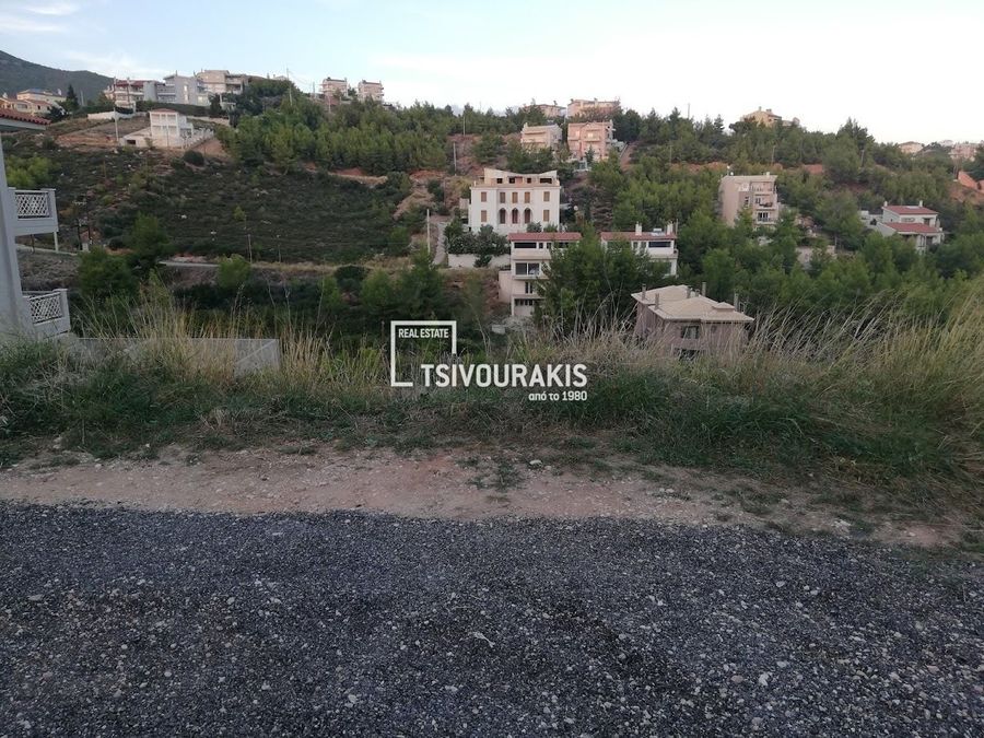 Photo 370868273