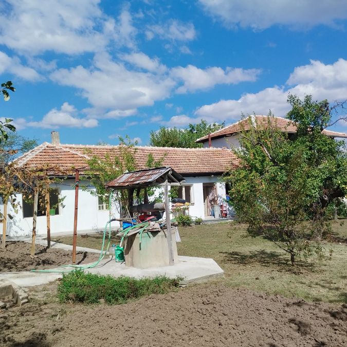 Снимка 371146331