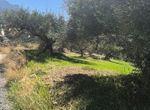 Photo 371572304