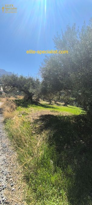 Photo 371572304
