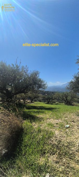 Photo 371572307
