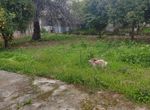 Photo 371573033