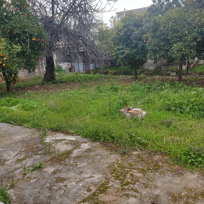Photo 371573033