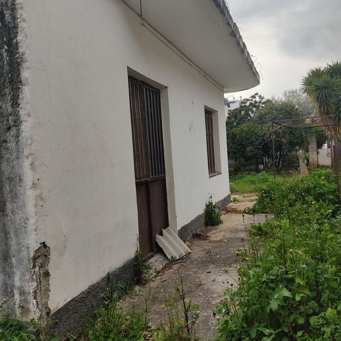 Photo 371573051