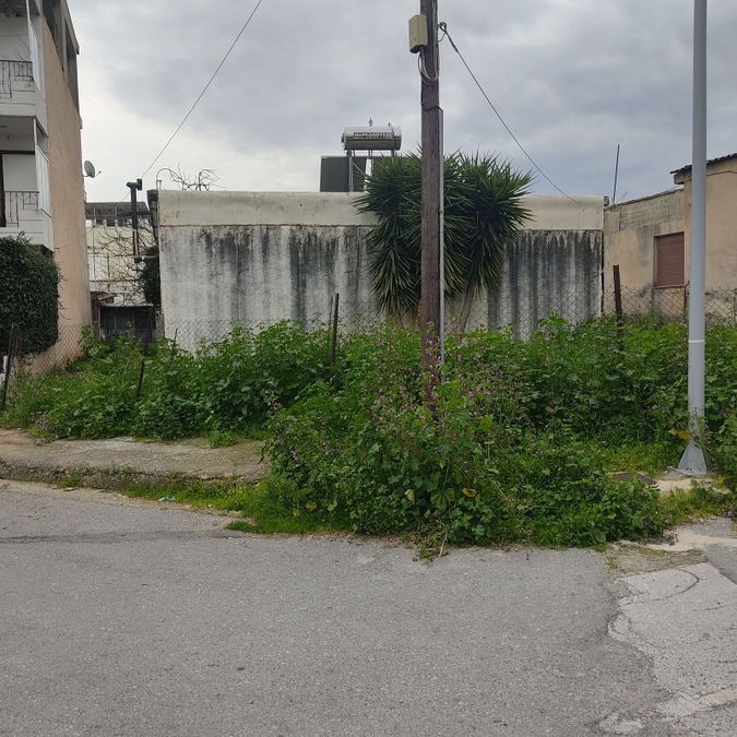 Photo 371573054