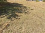 Photo 371996738
