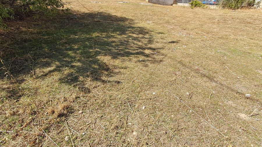 Photo 371996738