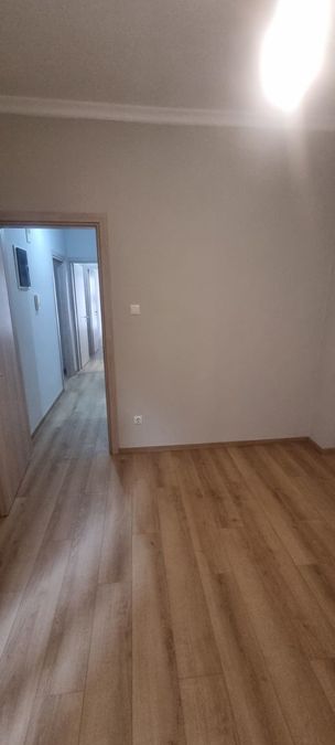 Photo 372142838
