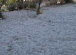 Photo 372278321