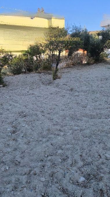 Photo 372278321