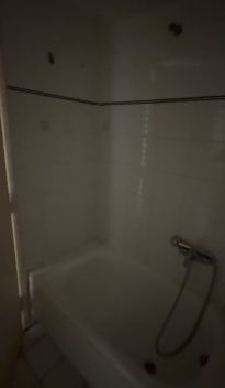 Photo 372281135