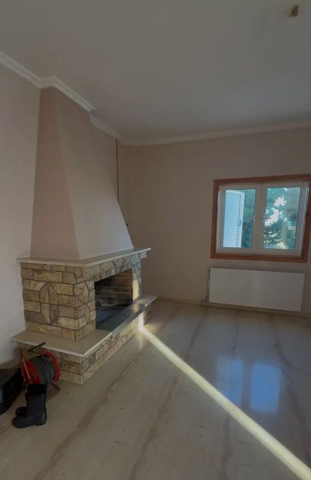 Photo 372388109
