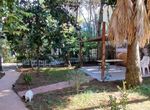 Foto 372393038
