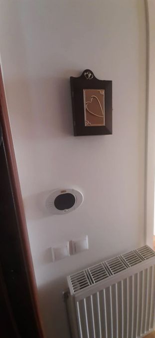 Photo 372394523
