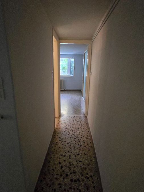 Photo 372447335