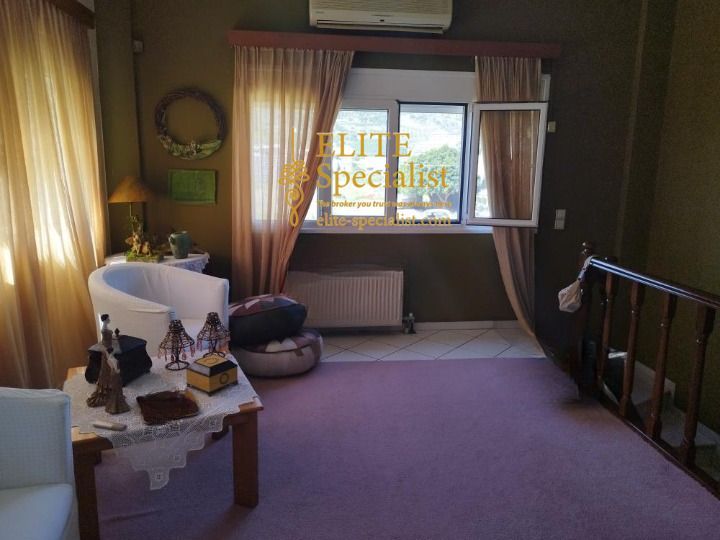 Photo 372569993