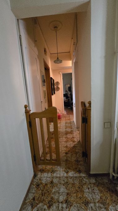Photo 372693296