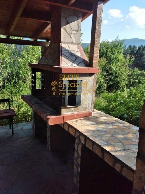 Photo 372864143