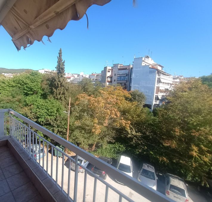 Photo 373111655