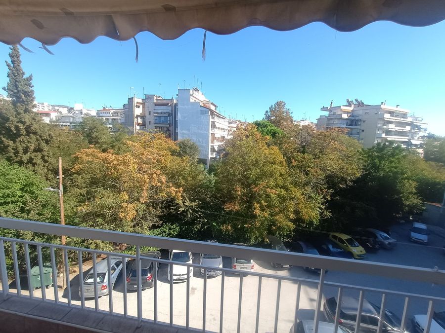 Photo 373111661