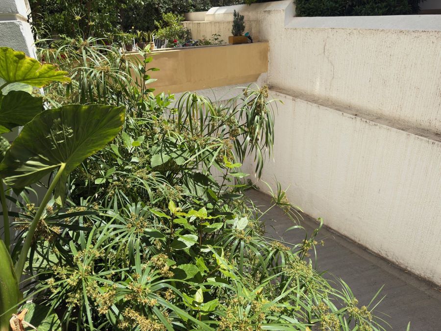 Photo 373111802