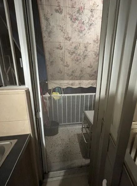 Photo 373620737