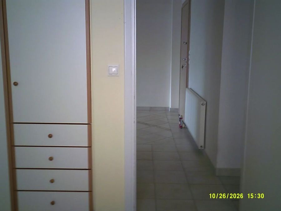 Photo 373972493