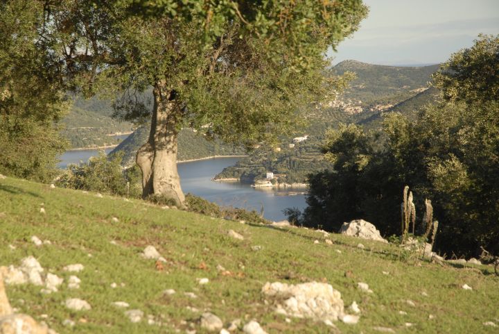 Photo 3890909