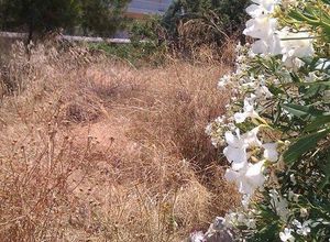 Οικόπεδο για ενοικίαση Γλυφάδα 670 τ.μ.