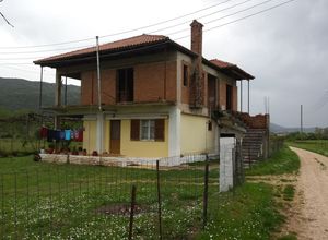 Μονοκατοικία προς πώληση Δωδώνη 90 τ.μ. 2 Υπνοδωμάτια