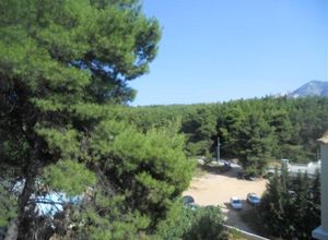 Μεζονέτα προς πώληση Κέντρο (Άνοιξη) 400 τ.μ. 5 Υπνοδωμάτια Νεόδμητο
