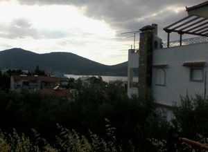 Bungalow προς πώληση Αλμυροπόταμος (Στύρα) 444 τ.μ. 5 Υπνοδωμάτια