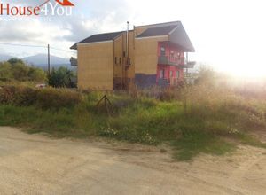 Land Plot, Anatoli
