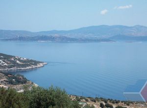 Οικόπεδο προς πώληση Δικαστικά (Μαραθώνας) 1.182 τ.μ.