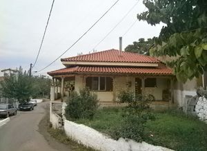 Μονοκατοικία προς πώληση Παγώντας (Μεσσαπία) 82 τ.μ. 2 Υπνοδωμάτια