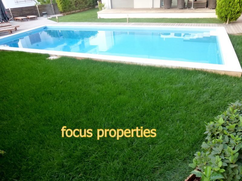 Photo 51697880