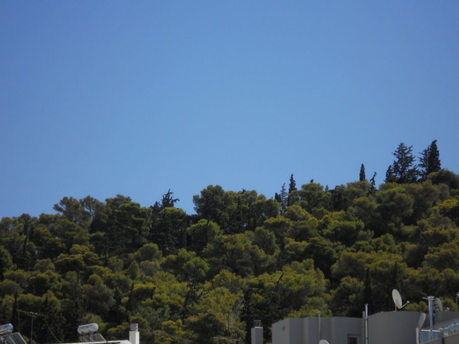 Photo 52693799