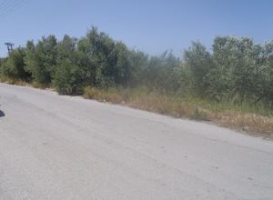 Οικόπεδο, Άγιος Ιωάννης