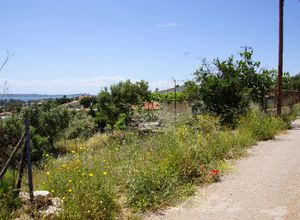 Οικόπεδο προς πώληση Νέα Πέραμος (Μεγάλο Πεύκο) Νεράκι 993 τ.μ.