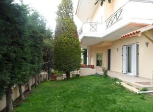 Detached House, Studio Alfa