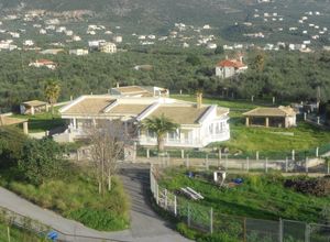 Βίλλα προς πώληση Παραλία Βέργας (Καλαμάτα) 362 τ.μ. 4 Υπνοδωμάτια