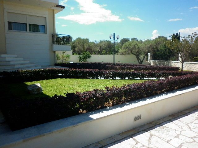 Photo 69628985