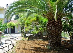 Μονοκατοικία προς πώληση Λουτρά (Παλλήνη) 85 τ.μ. 3 Υπνοδωμάτια
