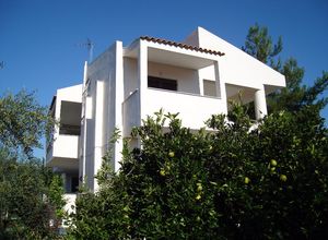 Villa for sale Center (Nafplio) 264 m<sup>2</sup> 5 Bedrooms New development