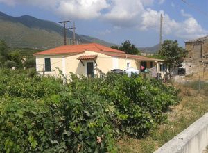 Detached House, Main town area