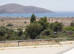 Μονοκατοικία προς πώληση Ανάβυσσος 195 τ.μ. 3 Υπνοδωμάτια Νεόδμητο