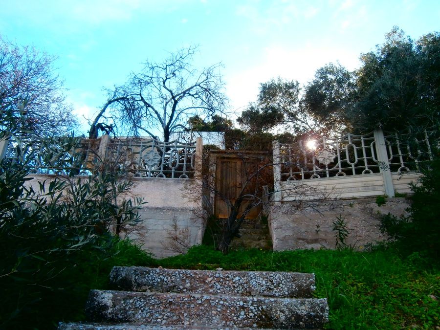 Photo 76091672
