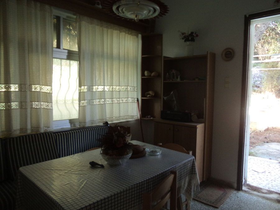 Photo 76119341
