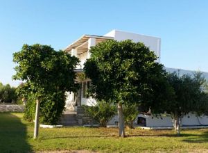 Βίλλα προς πώληση Πάρος Πούντα 170 τ.μ. 4 Υπνοδωμάτια