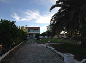 Μονοκατοικία προς πώληση Νέος Ερινεός (Ερίνεο) 209 τ.μ. 4 Υπνοδωμάτια